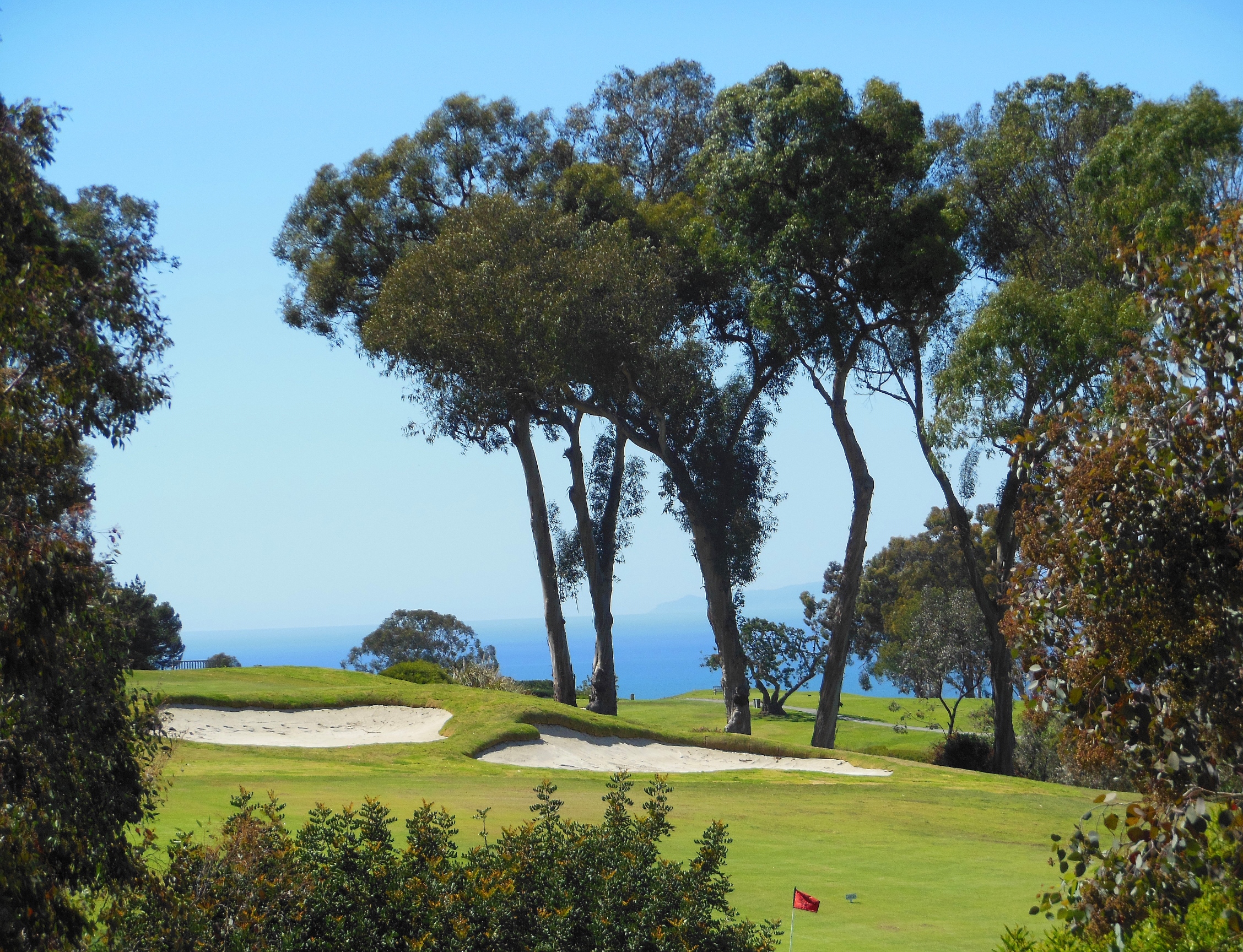 Palos Verdes Golf Club Undergoes Extensive Course Renovations